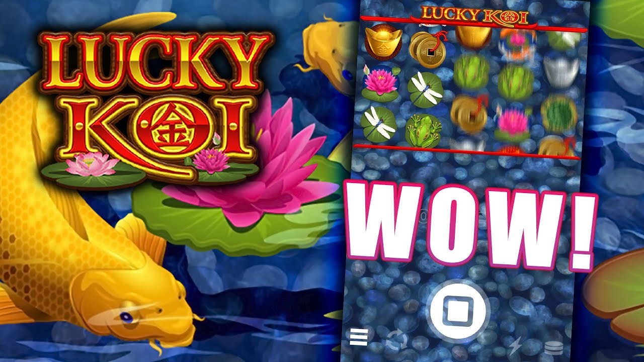 Lucky Koi - Surga Hiburan yang Unik